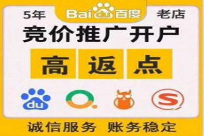 百度SEO推广实战案例：提升网站排名